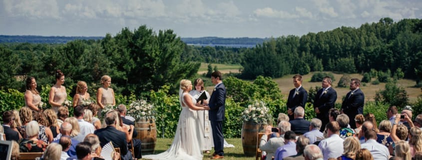 Gorgeous wedding couple on our Vineyard wedding venues in Traverse City