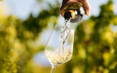 Don’t Miss These Top Michigan Wineries