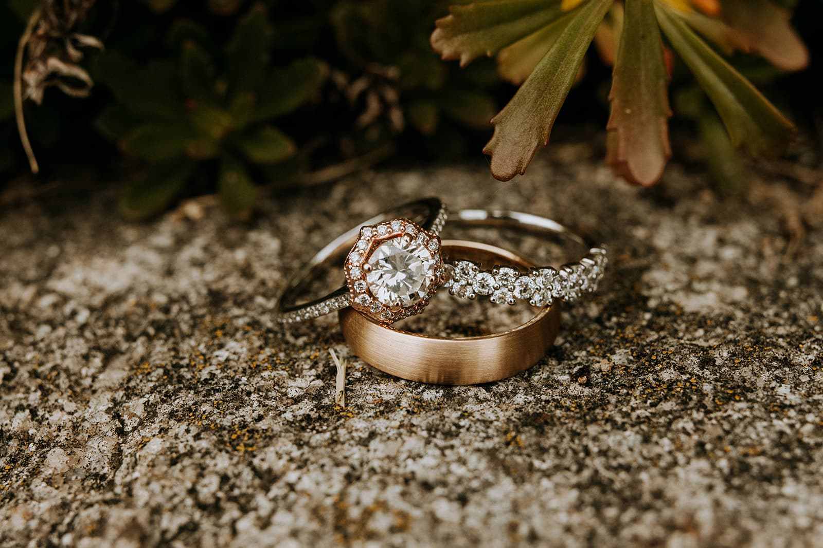 Wedding Rings At Black Star Farms Our Venues 38