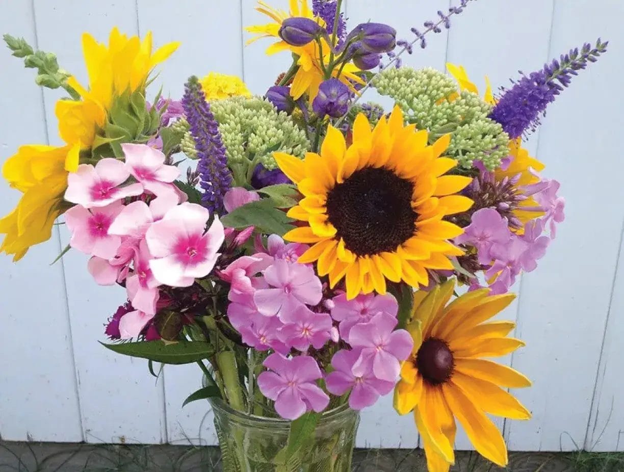 Packages & Specials 13 Packages & Specials 9