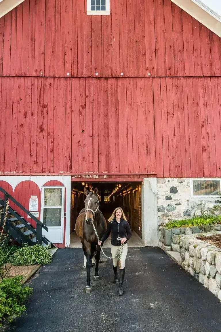 Stables at Black Star Farms 2 A couple dressed in formal attire clink glasses of red wine. They smile at each other, creating a warm and intimate atmosphere. The background is softly blurred with glowing lights, suggesting a romantic or celebratory setting.