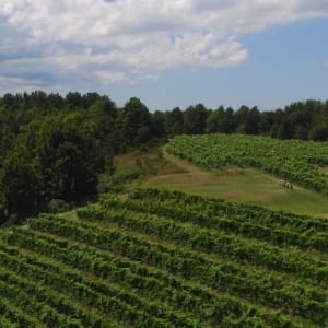 Our Earth Day Commitment 3