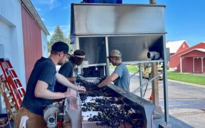 Harvest 2021 Report – Hear From Our Winemaker