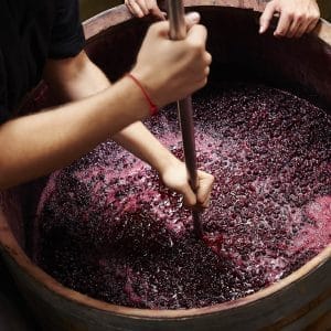 Winery workers treading red wine What is Residual Sugar? 1