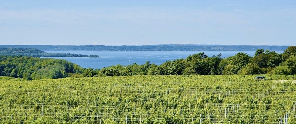 The Best Wine Tasting in Traverse City Beyond