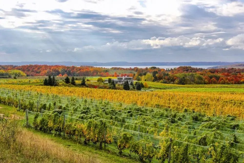 Fall,Color,In,Old,Mission,Peninsula Fantastic Breweries in Traverse City 3
