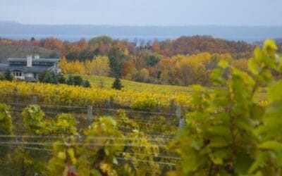 The Best Wine Tasting in Traverse City + Beyond