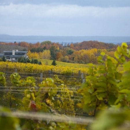 The Best Wine Tasting in Traverse City + Beyond