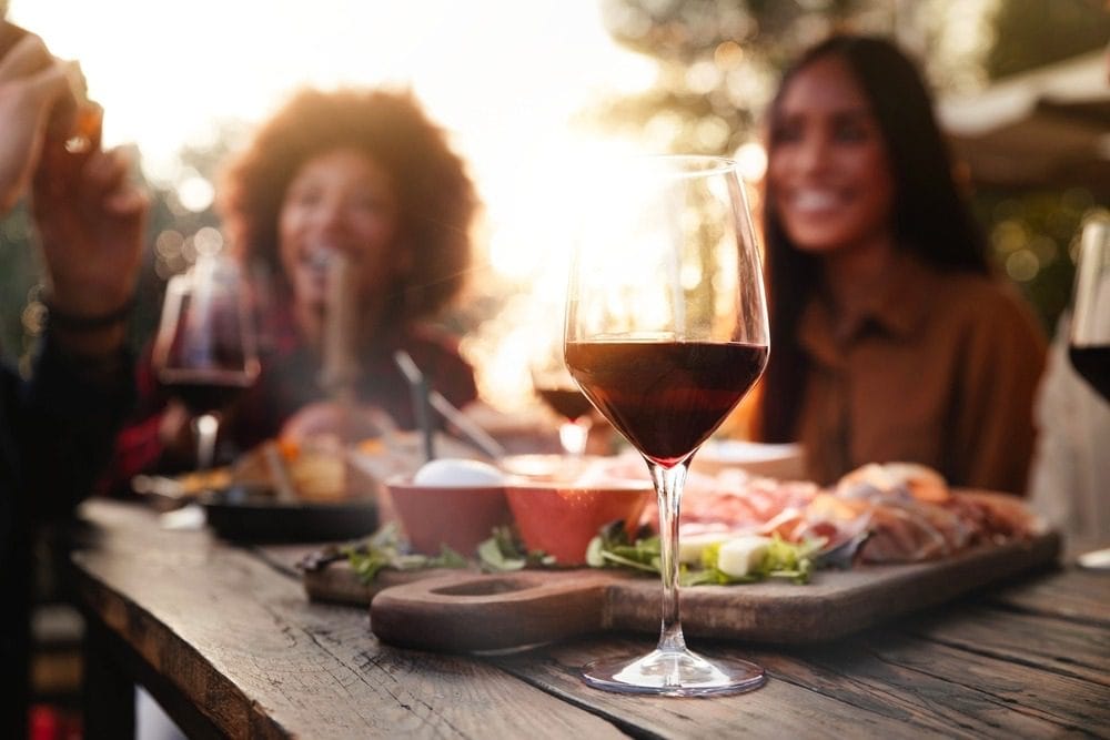 Happy,Family,Having,Barbeque,Dinner,Party,In,Home,Garden,- Best Wine Tours in the Traverse City Area 2