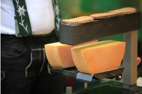 Raclette Dinners with cheese under heating grill.