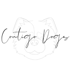 Pours For Pups_Contigo Dogs Pours For Pups 3