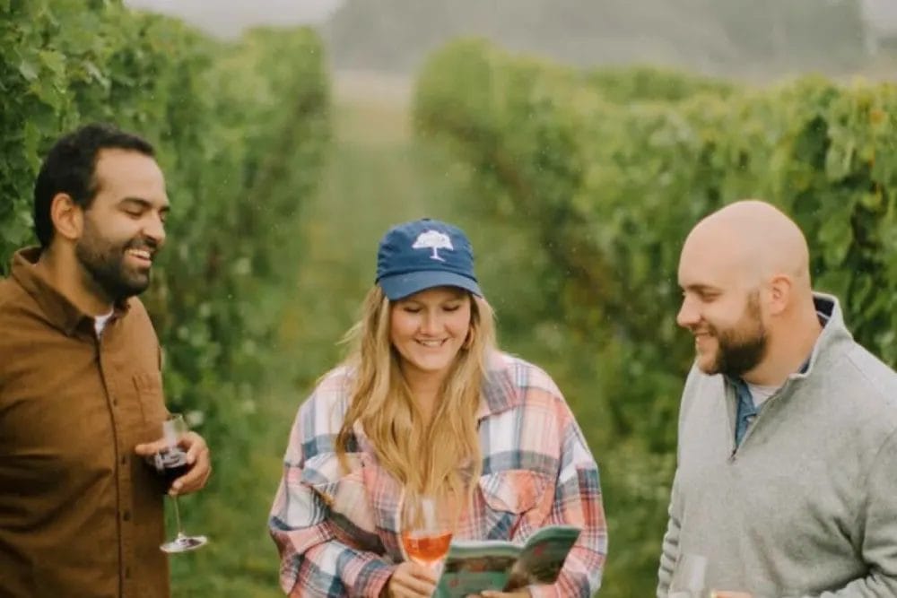 People looking at a book in front of a vineyard