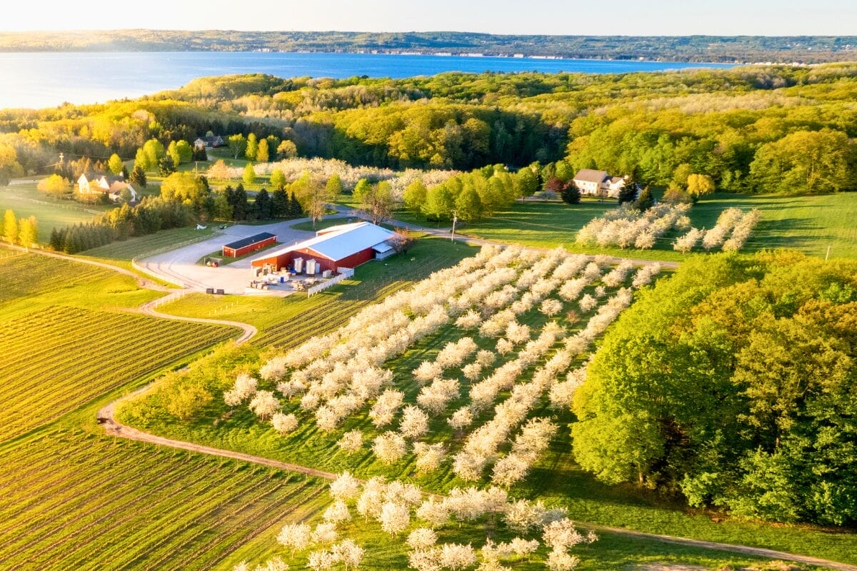 Aerial view of the Old Mission winery and tasting room